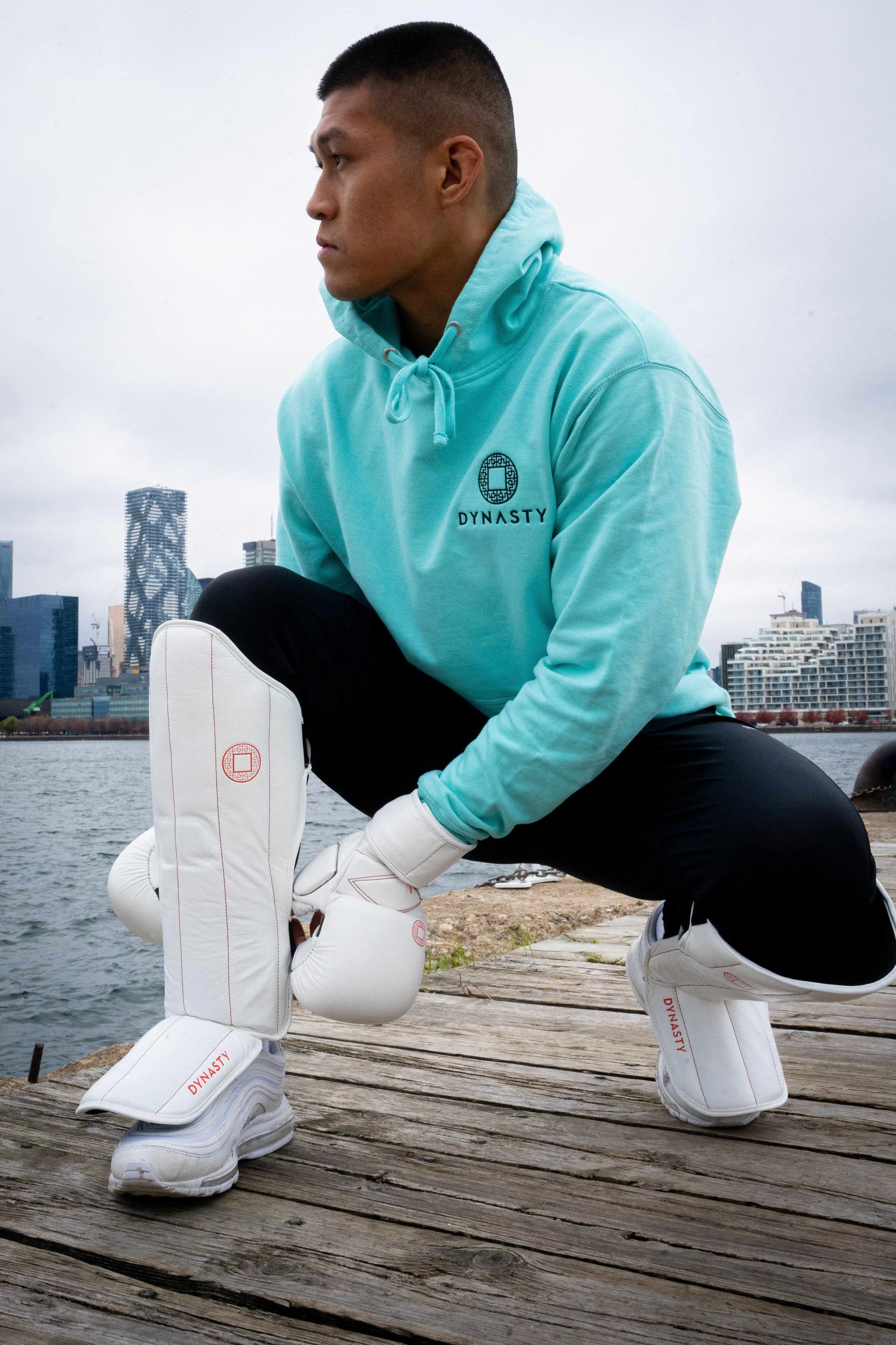 Dynasty Pro Striking Shin Guards (White / Red)