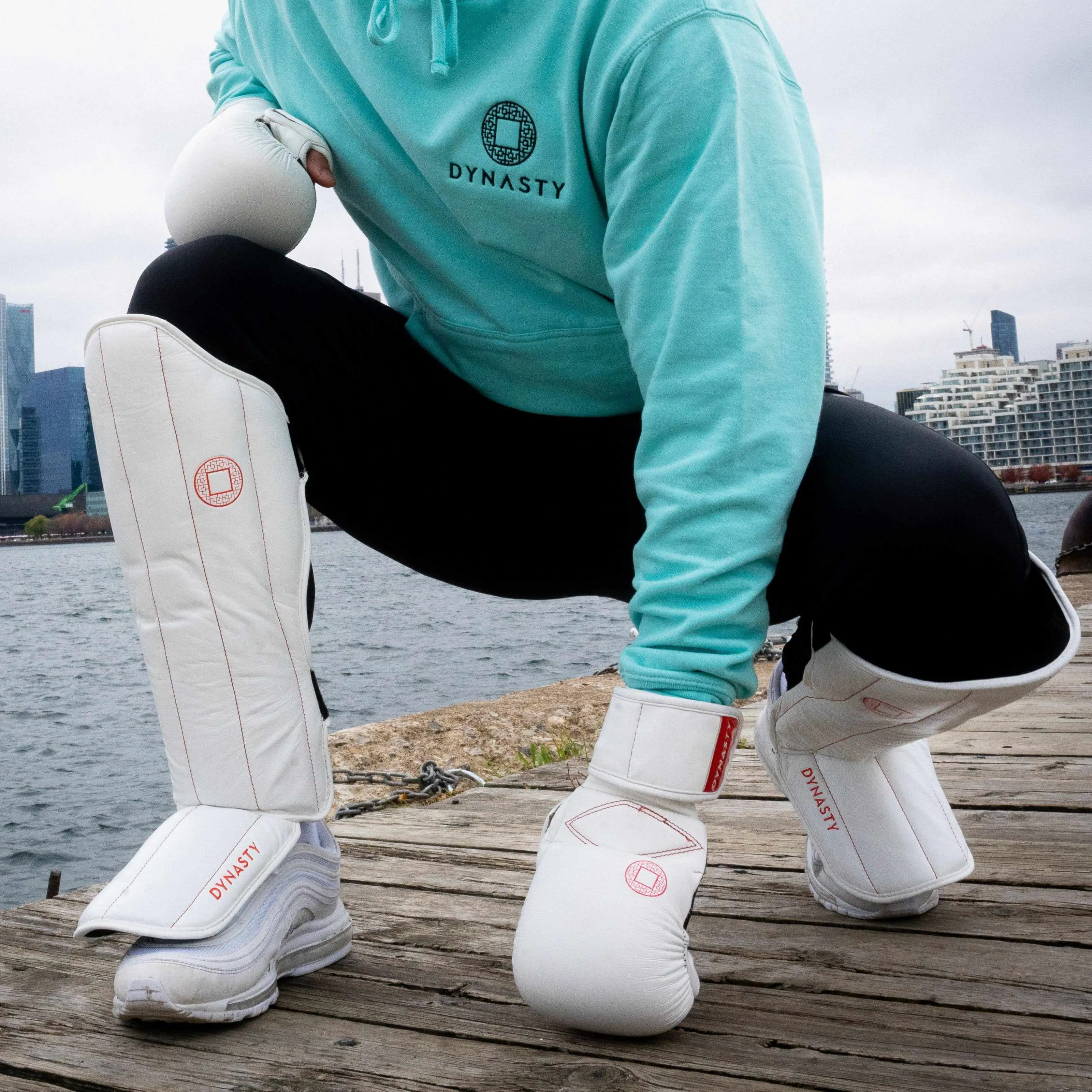 Dynasty Pro Striking Shin Guards (White / Red)